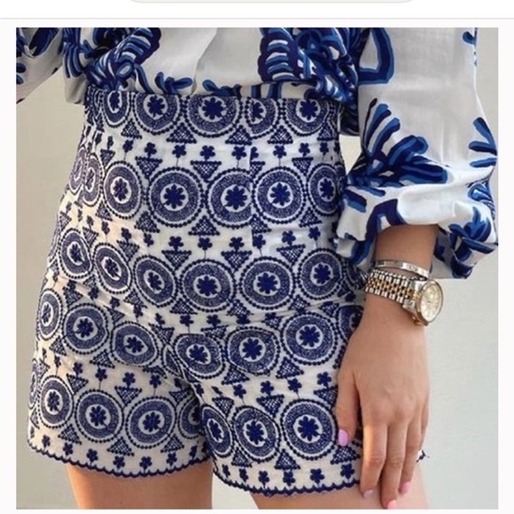 Zara Pants - Zara high waisted embroidered shorts, size M, L, new